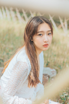 你与我的倾城之恋